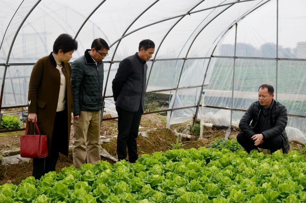仁和集团驻张家山街道杏塘村委事情队与村干部商讨工业扶贫.jpg